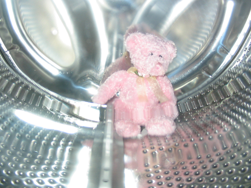 Bear inside washing machine